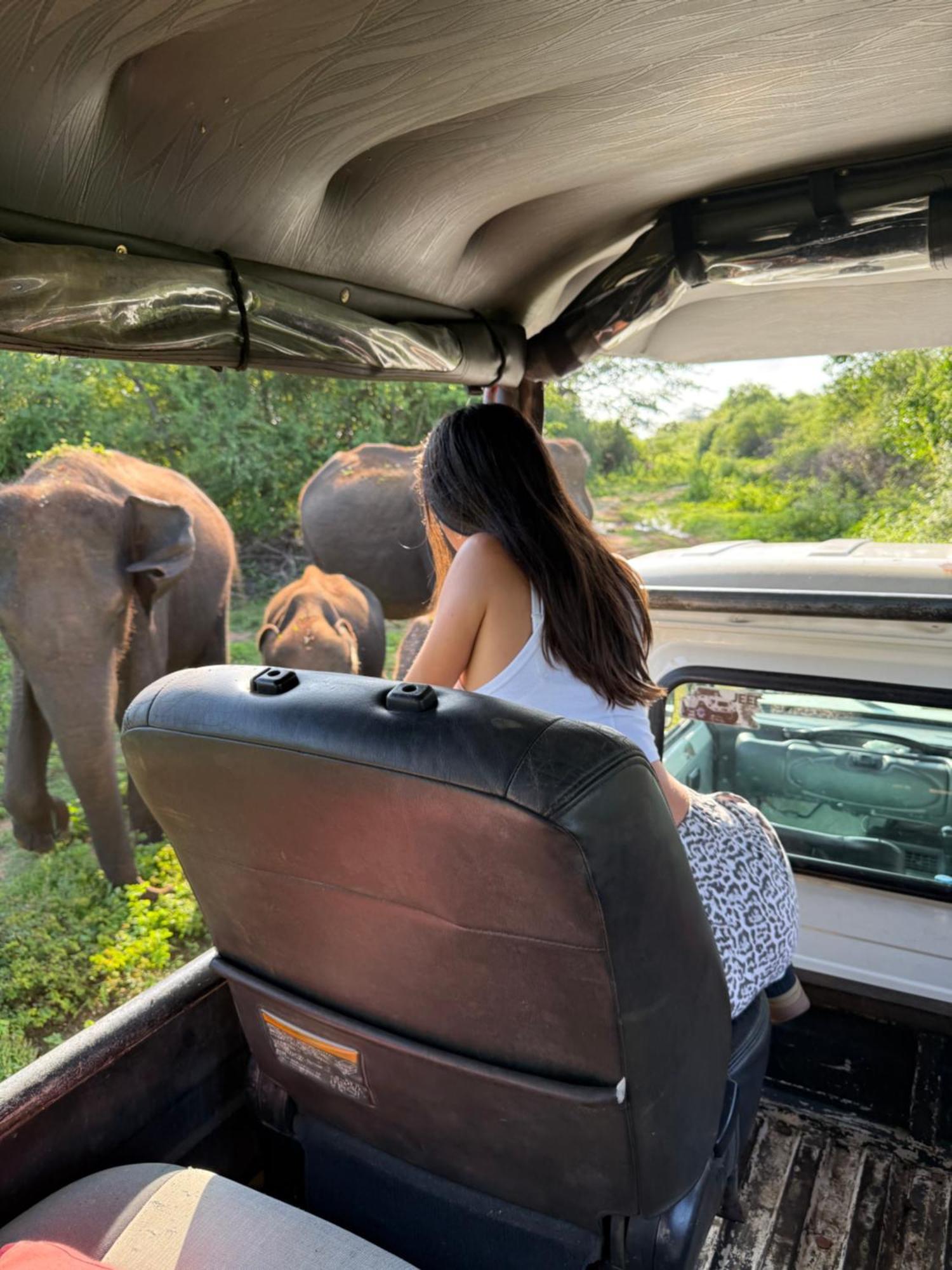 Chill House Safari Resort ウダワラウェ エクステリア 写真