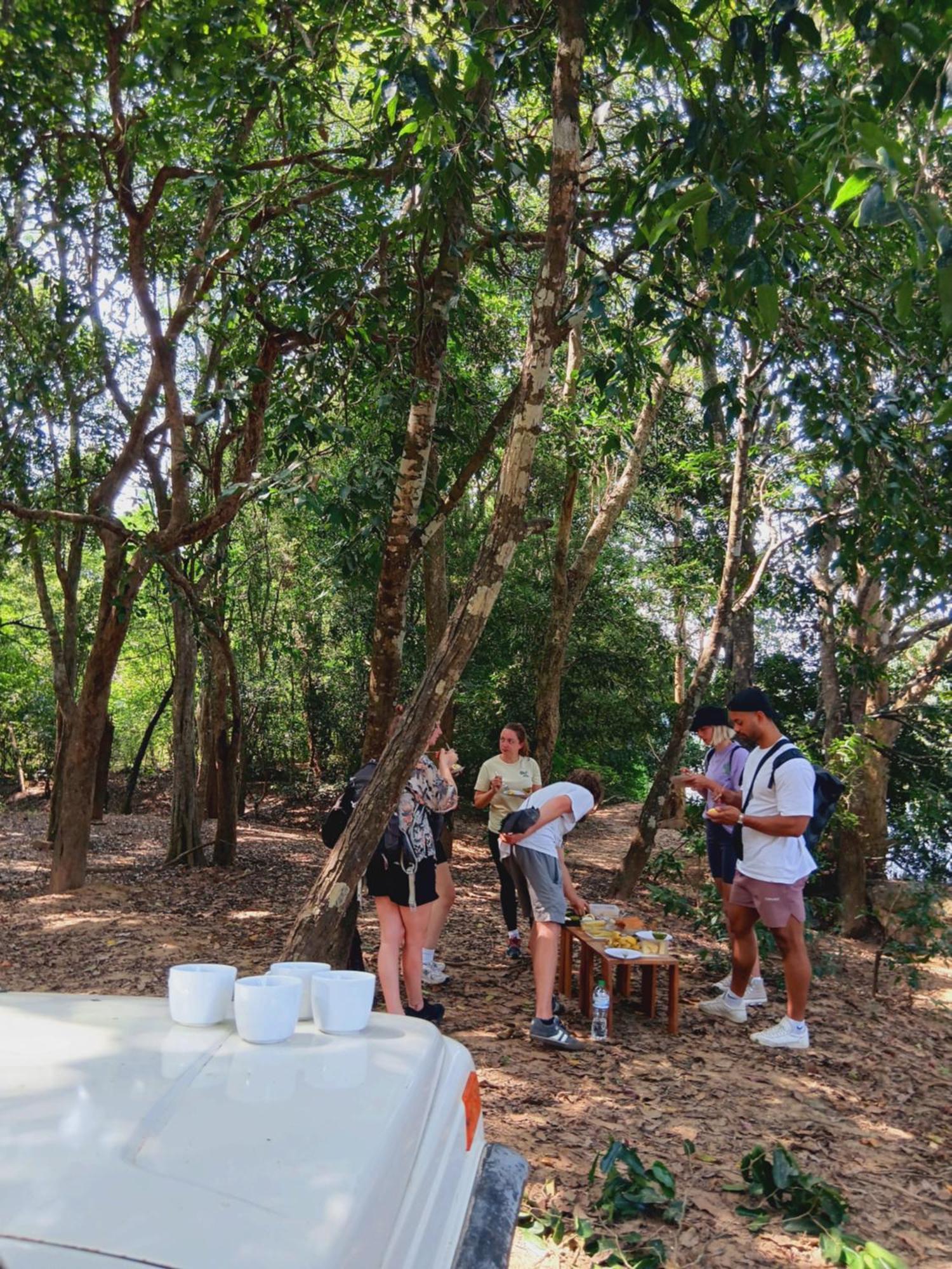 Chill House Safari Resort ウダワラウェ エクステリア 写真