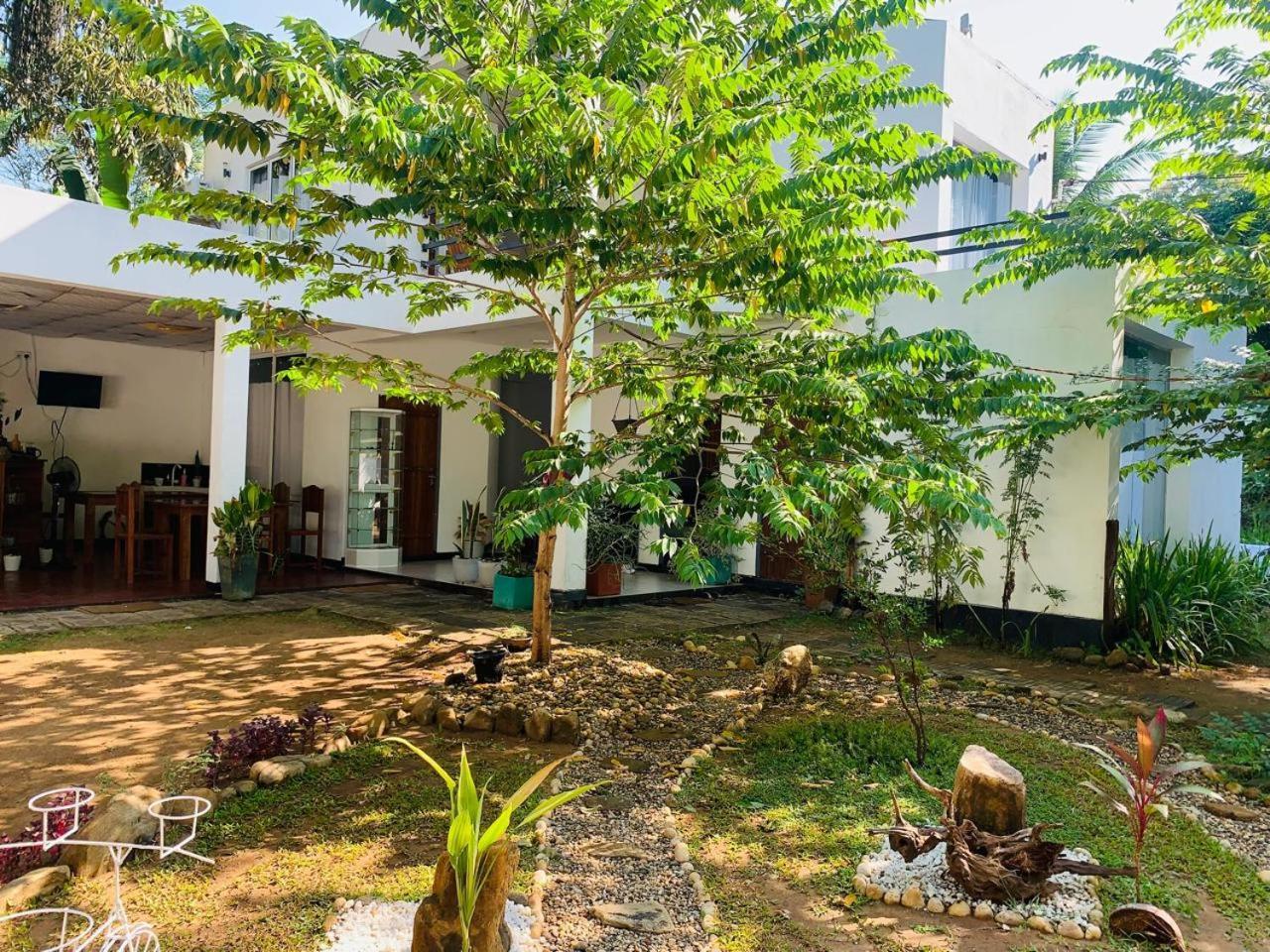 Chill House Safari Resort ウダワラウェ エクステリア 写真