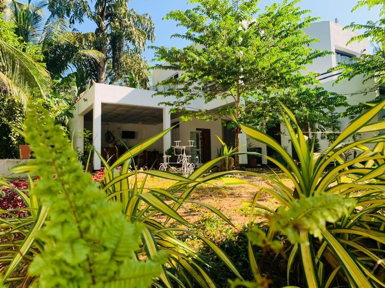 Chill House Safari Resort ウダワラウェ エクステリア 写真