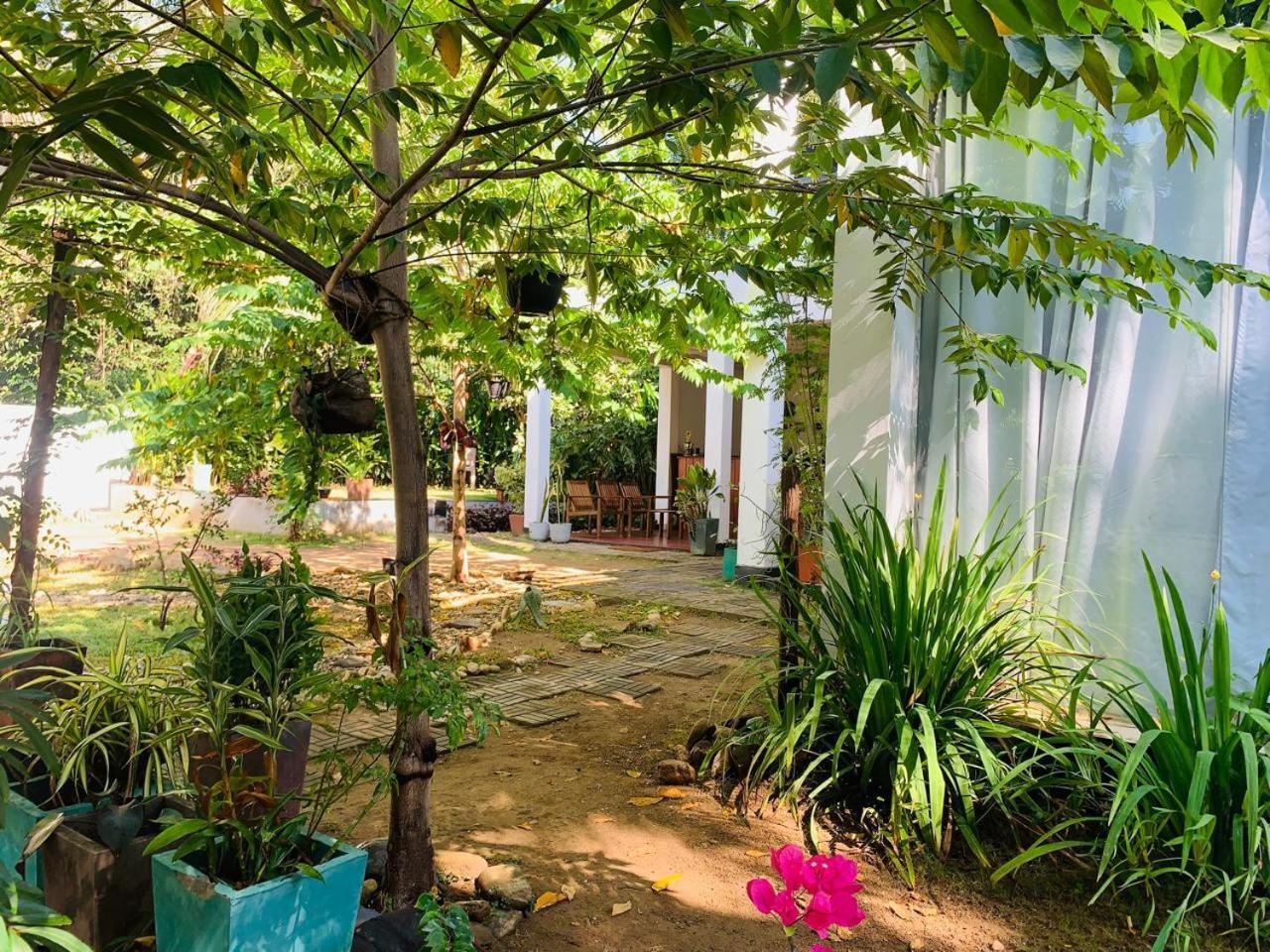Chill House Safari Resort ウダワラウェ エクステリア 写真