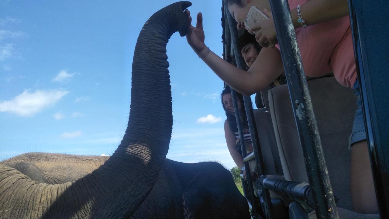 Chill House Safari Resort ウダワラウェ エクステリア 写真